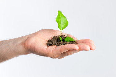 Similar image 6313911