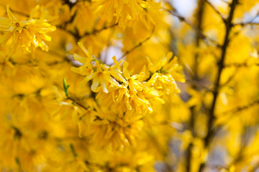 Similar image 6314228