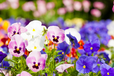 Similar image 6314230