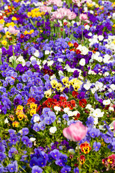 Similar image 6314241