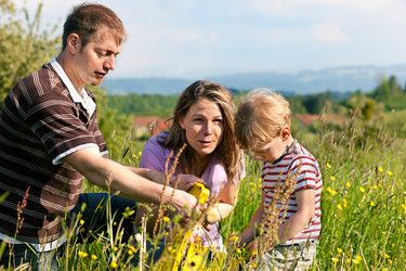 Similar image 6314457