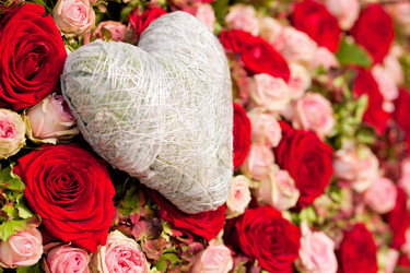 Similar image 6314472