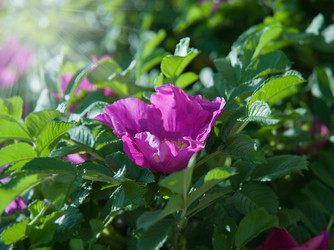 Similar image 6314566