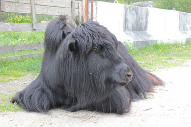 Similar image 6314621