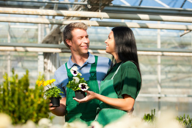 Similar image 6314768