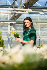 Similar image 6314778