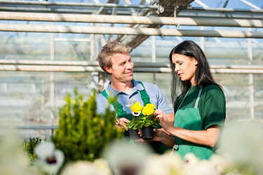 Similar image 6314780