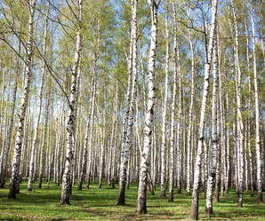 Similar image 6314810