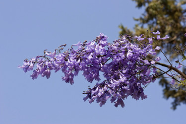 Similar image 6315202