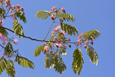 Similar image 6315203