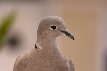 Similar image 6315204