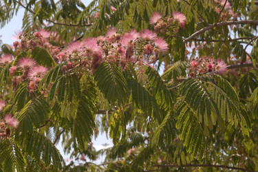 Similar image 6315205