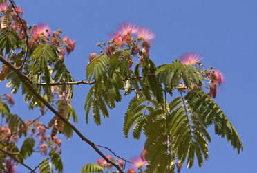 Similar image 6315206