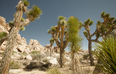 Similar image 6315273