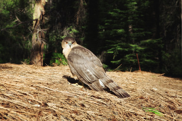 Similar image 6315305