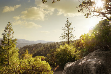 Similar image 6315308