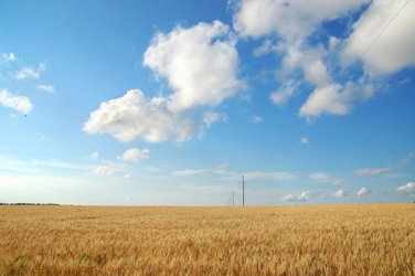 Similar image 6315759