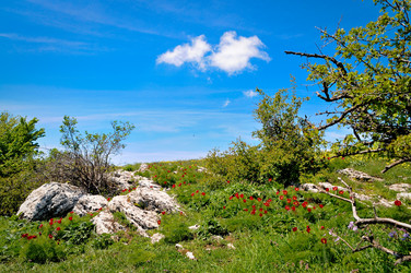 Similar image 6315762