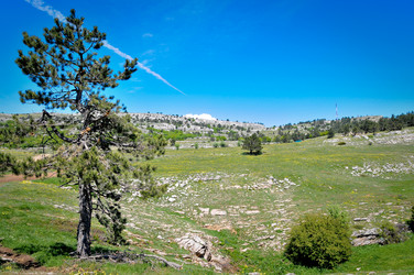 Similar image 6315764