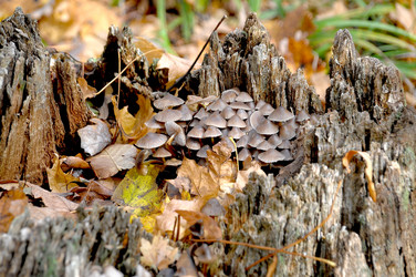 Similar image 6315765