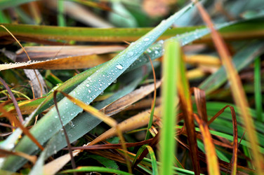 Similar image 6315780