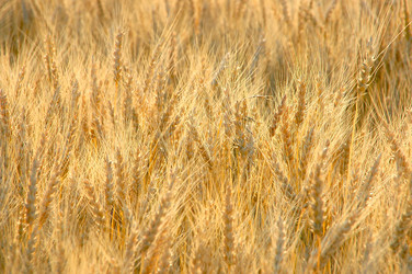 Similar image 6315783