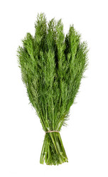 Similar image 6315824