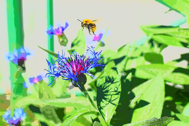 Similar image 6315868