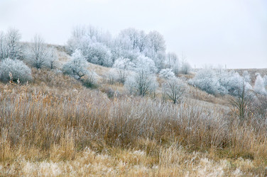 Similar image 6315872