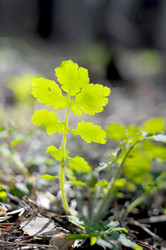 Similar image 6315877