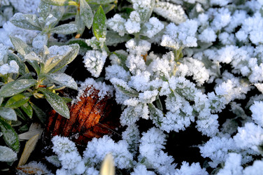 Similar image 6315879