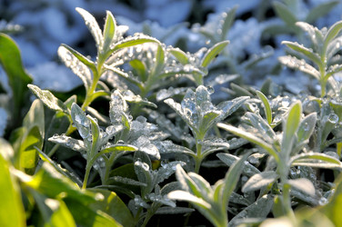 Similar image 6315880