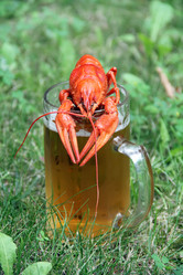 Similar image 6316174