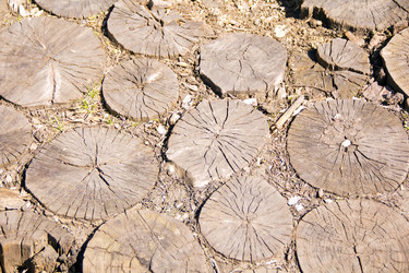 Similar image 6316181