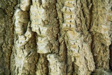 Similar image 6316189