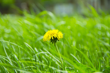 Similar image 6316191