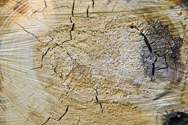 Similar image 6316198