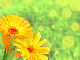 Similar image 6316203