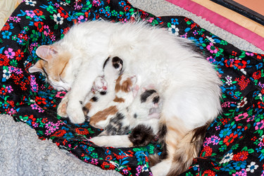 Similar image 6316208