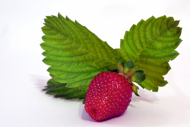 Similar image 6316224