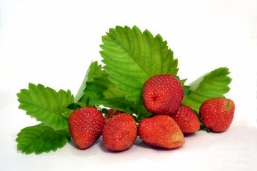 Similar image 6316225