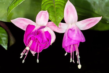 Similar image 6316229