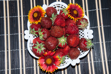 Similar image 6316250