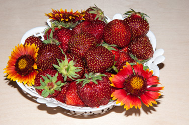 Similar image 6316254