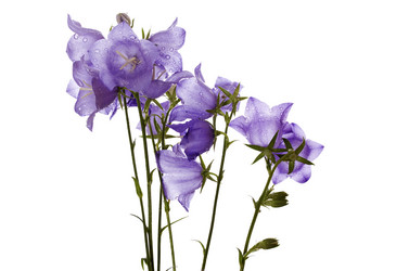 Similar image 6316270