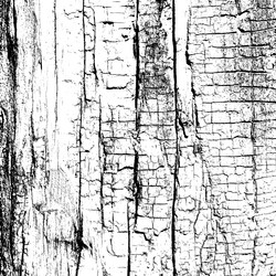 Similar image 6316350