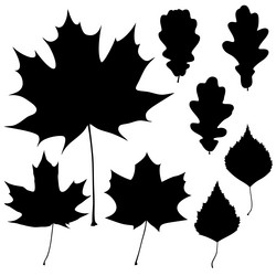 Similar image 6316382