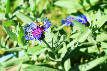 Similar image 6316386