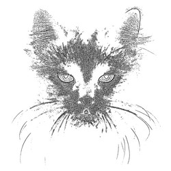 Similar image 6316406