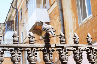 Similar image 6316446